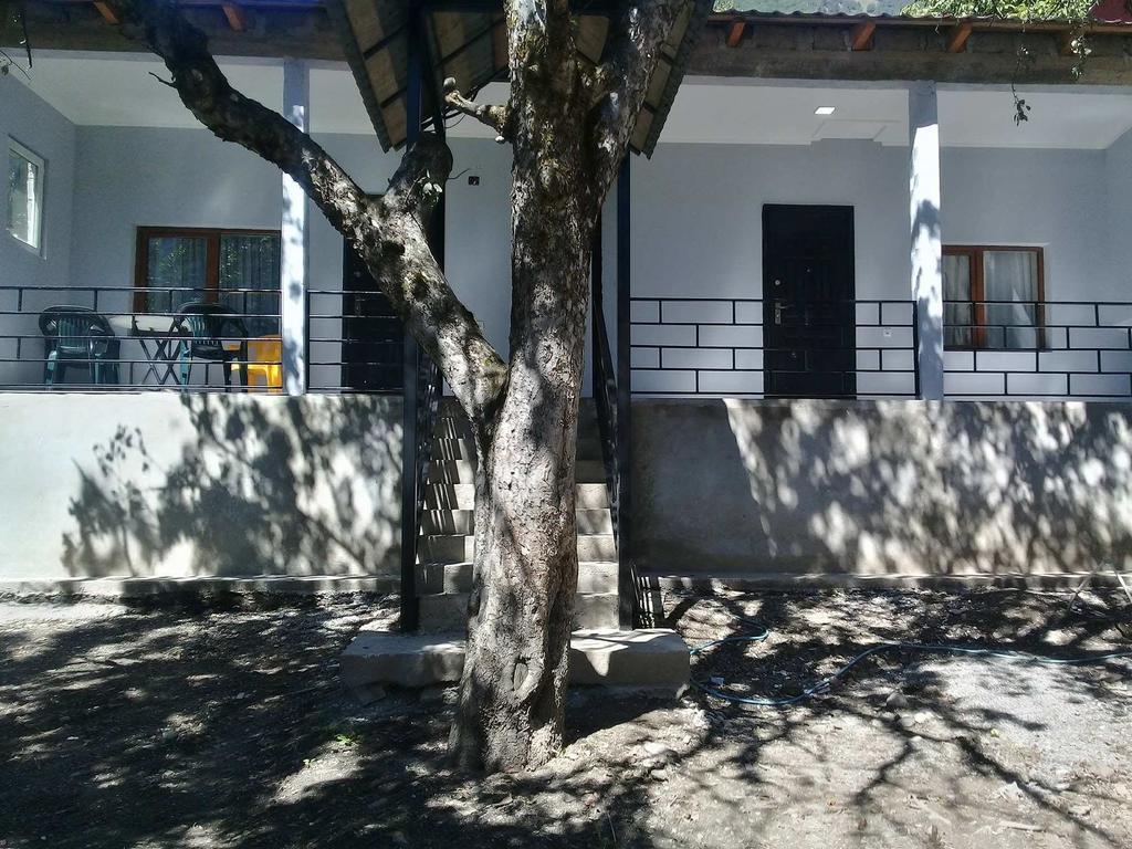 Guesthouse Ori Beli In Mestia Exterior photo